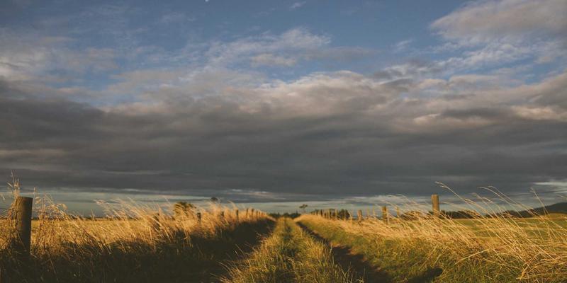 从智能穿搭到智慧生活：用小雅GD监控家庭能耗的节能实践