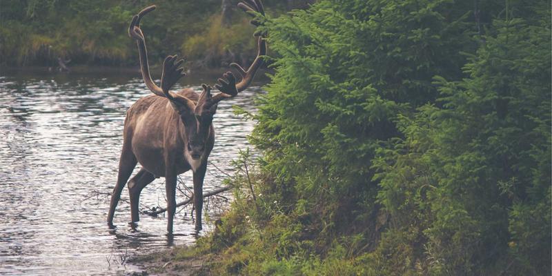 从穿搭到安眠：小雅GD如何用白噪音与冥想重塑你的生活方式