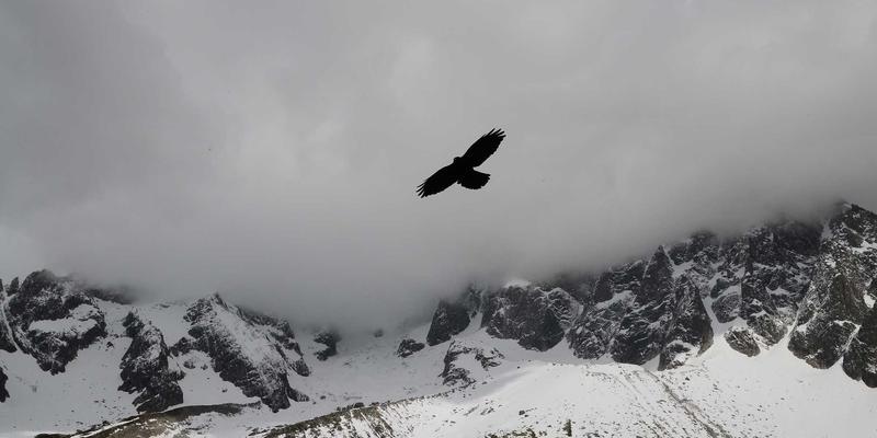 从穿搭到日程：小雅GD如何用闹钟与提醒功能重塑你的生活方式