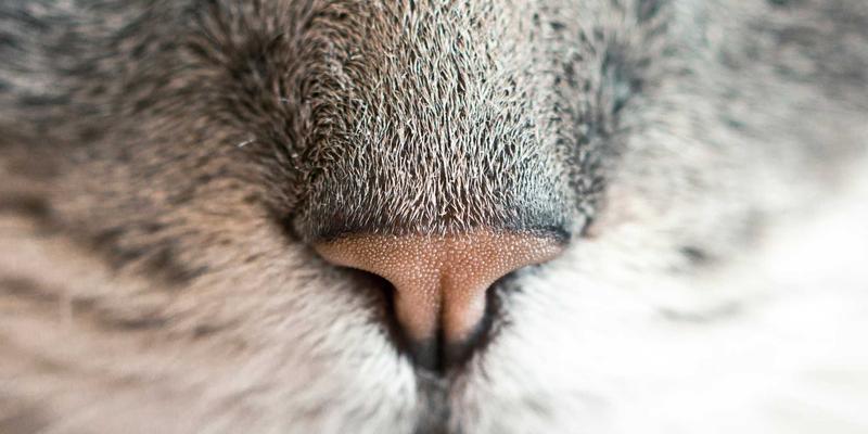 小雅GD19：重新定义日常穿搭，探索生活方式的无限可能