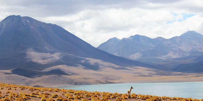 小雅GD28：用博客记录生活美学的数字游牧者