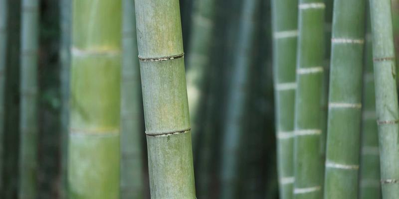 小雅GD64：以穿搭为笔，旅行为纸，书写不被定义的生活方式