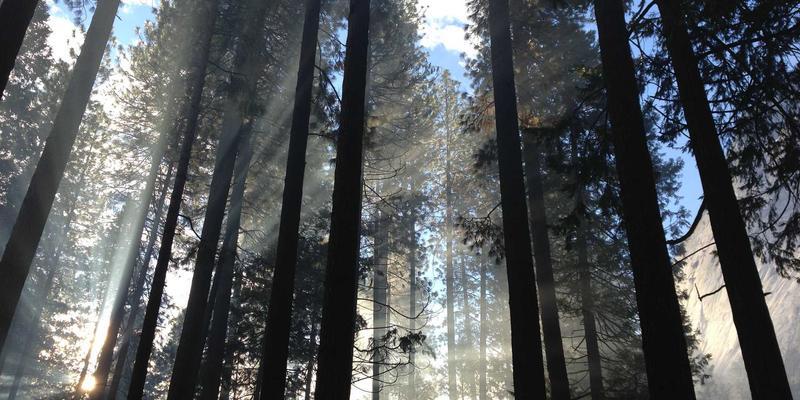 小雅GD81深度体验：一个博主眼中被低估的私人知识库神器