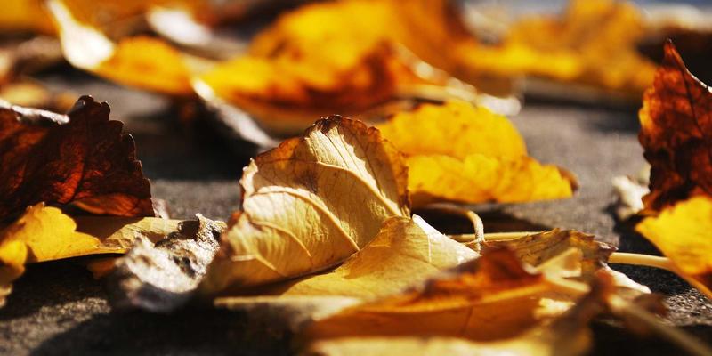 智能生活博主私藏分享：小雅GD联动安防，打造穿搭博主的安全美学空间